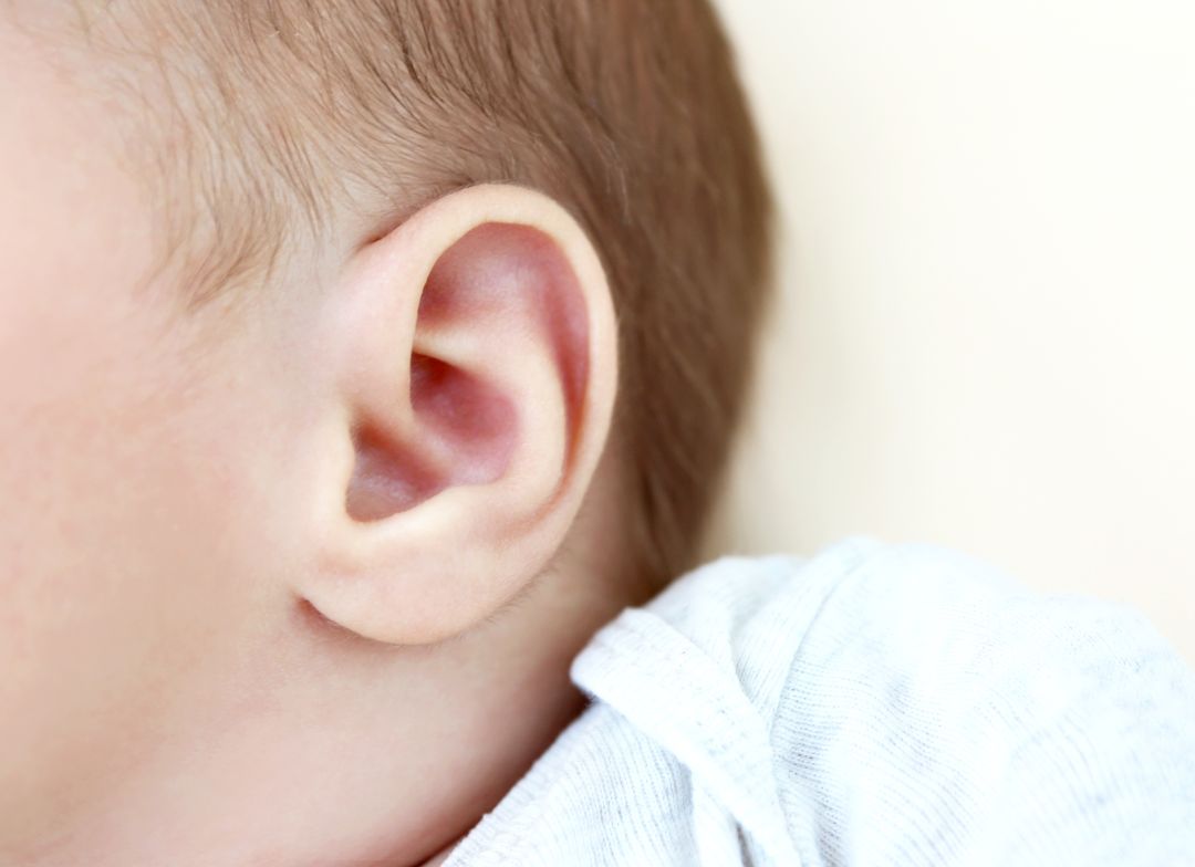 Babies’ Ears