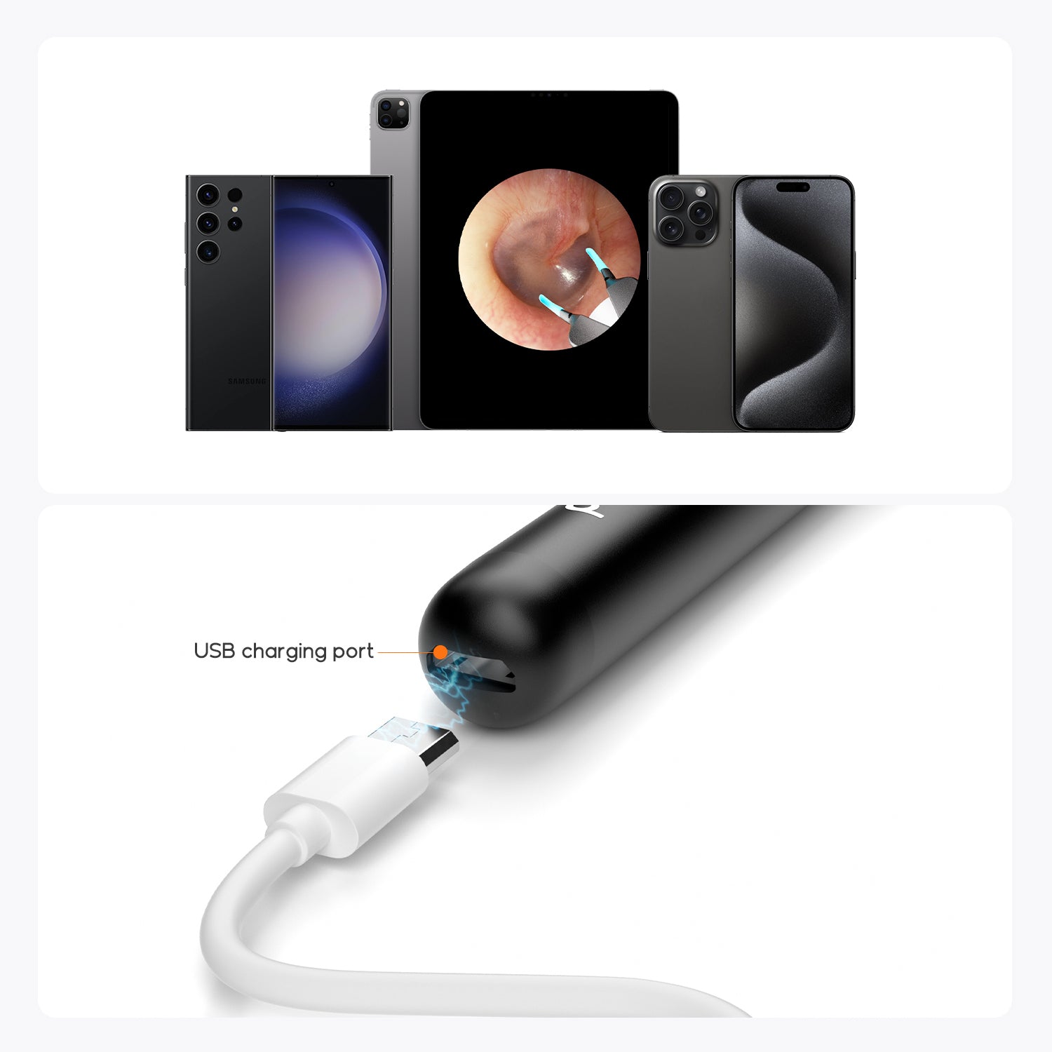 Bebird EarSight R1 Bundle