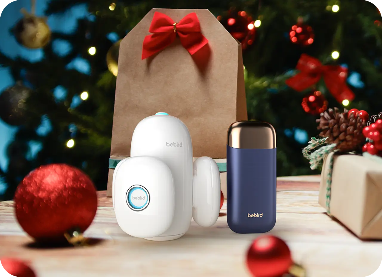 5 Best Christmas Gifts for Mom: Featuring Ear Cleaner with Camera
