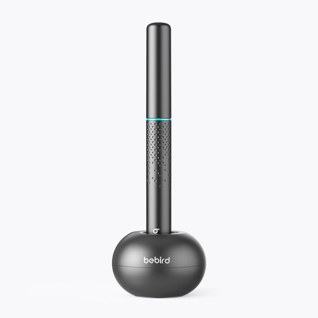 Bebird EarSight M9