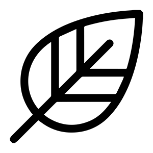 Bebird Official Store