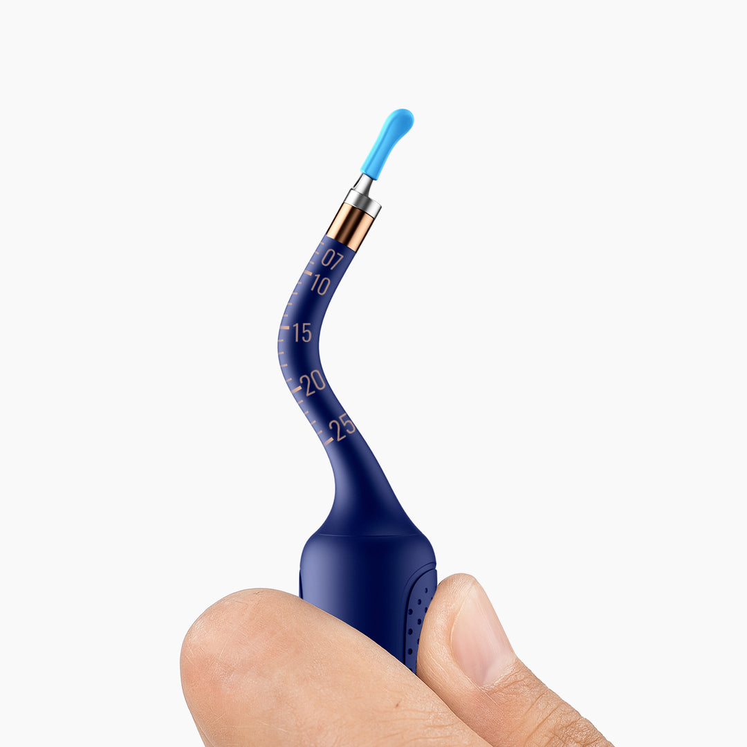 Bebird EarSight Plus