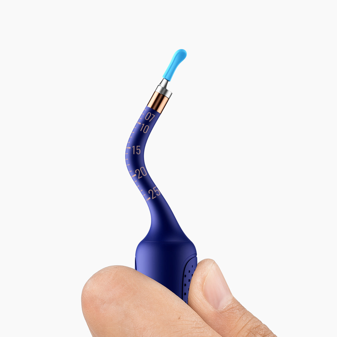 Bebird EarSight Plus